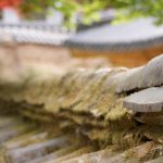 Buy Generic Modafinil: Tips for First-Time Buyers