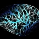 Is Provigil Safe? Examining the Risks and Precautions