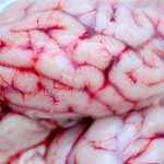 Modafinil: The Smart Drug for the Modern Age