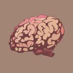 The Benefits of Buying Modafinil for Enhanced Focus