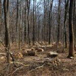 Unlocking Potential: Why You Should Buy Modafinil Online Today