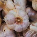 The Science Behind Modafinil: How It Works to Boost Wakefulness