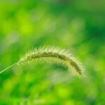 buy provigil: Navigating the Online Marketplace Safely