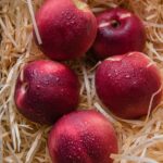 Buy Modafinil Online: Unveiling the Myths and Facts