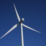 From Study Aids to Lifestyle Drug: The Evolution of Modafinil