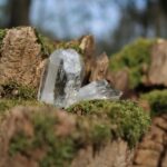 Navigating the World of Modafinil for Sale: A Consumer's Guide