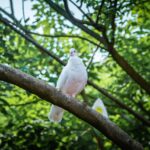 Beyond Sleep: How Modafinil is Transforming the Work Culture