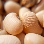 The Science Behind Modafinil: Unraveling the Wakefulness Mystery