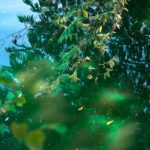 Buy Generic Modafinil: Your Solution for Daily Energy and Productivity.