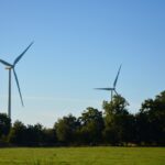 Why You Should Consider to Buy Modafinil for Enhanced Cognitive Function