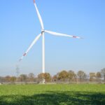 Women and Modafinil: A Focus on Gender-Specific Responses