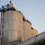 The Increasing Demand for modafinil for sale in the Productivity Market