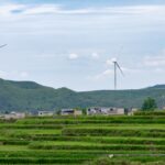 Buy Modafinil Online: Navigating Legal and Safety Concerns