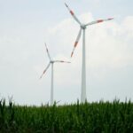 Exploring Alternative Nootropics: Is Modafinil the Best Choice?