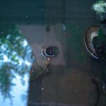 Buy Provigil Today: A Comprehensive Review of Its Uses and Effects