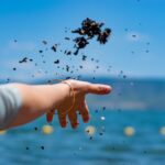 The Ethics of Enhancing Focus: A Critical Look at Modafinil Use in Competitive Environments