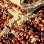 Exploring the Benefits and Risks of Modafinil Usage