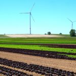 User Experiences: Real Stories of Life with Provigil