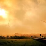 The Rise in Popularity: Why More People Buy Provigil