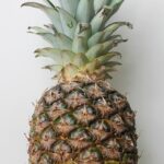 The Rise of Provigil: A Look into Its Popularity Among Professionals