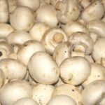 Buy Provigil: Unlocking the Secrets to Staying Awake and Alert