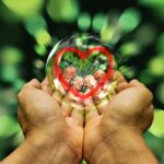 Navigating the Legal Landscape of Modafinil Prescription and Use Worldwide