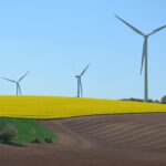 Exploring the Effects of Modafinil on Mental Health and Well-Being