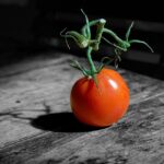 The Benefits of Choosing to buy generic provigil for Your Focus Needs