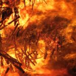 The Future of Nootropics: Will Provigil Lead the Charge?