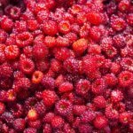 How to Safely Purchase modafinil for sale: A Buyer’s Guide