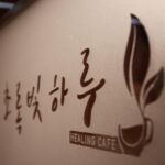 The Rise of Modafinil: A Game Changer in Focus and Productivity