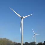 The Future of Cognitive Enhancement: Modafinil and Its Potential Impact on Learning