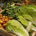 Where to Buy Generic Provigil: Best Sources and Strategies