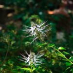 Is Modafinil for Sale a Safe Option for Night Shifts? Insights and Advice