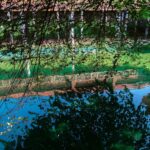 Is Modafinil for Sale the Key to Overcoming Chronic Fatigue?