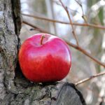 buy provigil: The Complete Guide to Getting the Best Deal