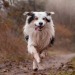 Buying Modafinil for Sale: A Step-by-Step Approach for New Users