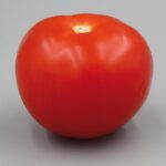 Modafinil: A Closer Look at Its Potential for ADHD Treatment