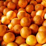 The Neuroscience Behind Modafinil: How It Enhances Cognitive Function