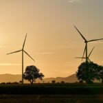 The Rise of Modafinil for Sale in the Online Marketplace